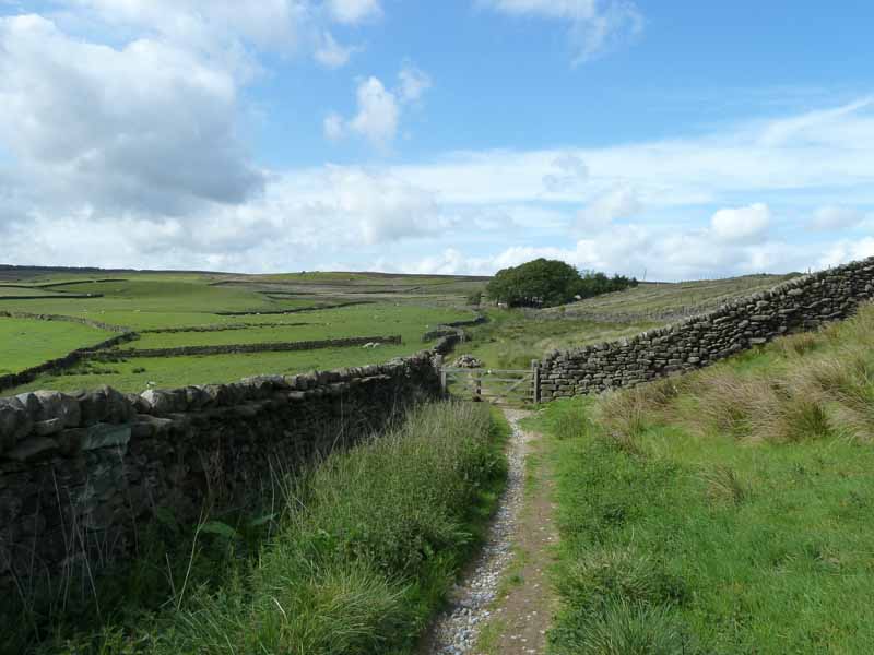 Cart Track